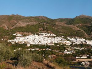 Parcela Rústica de 770 m en Partido Comparate en Casarabonela